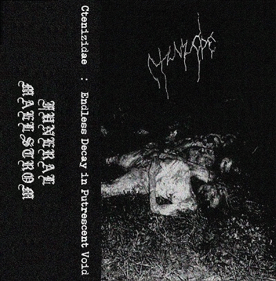 Ctenizidae : Endless Decay in Putrescent Void